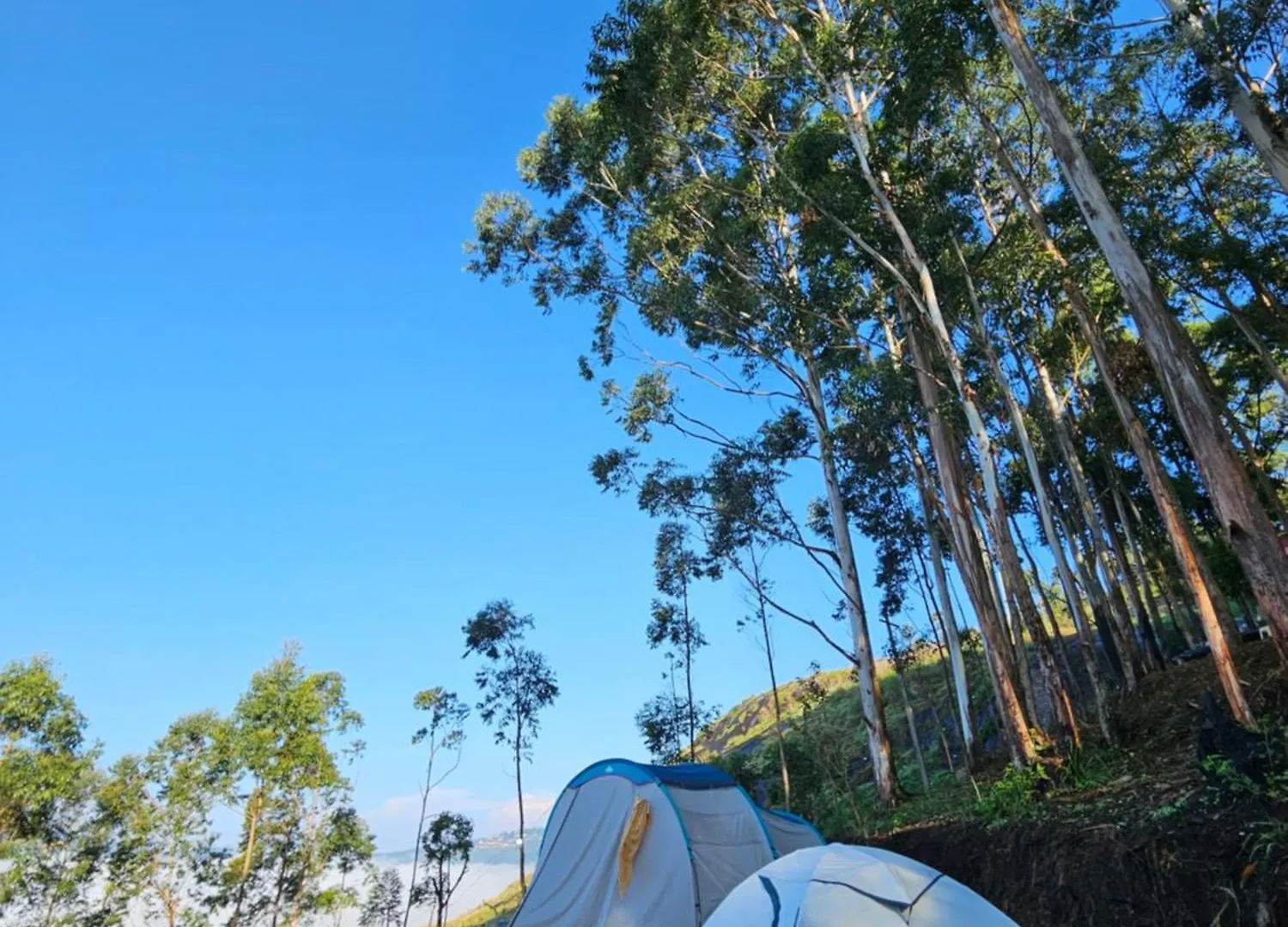 Cloud Camping. Hotel Munnar Campsite