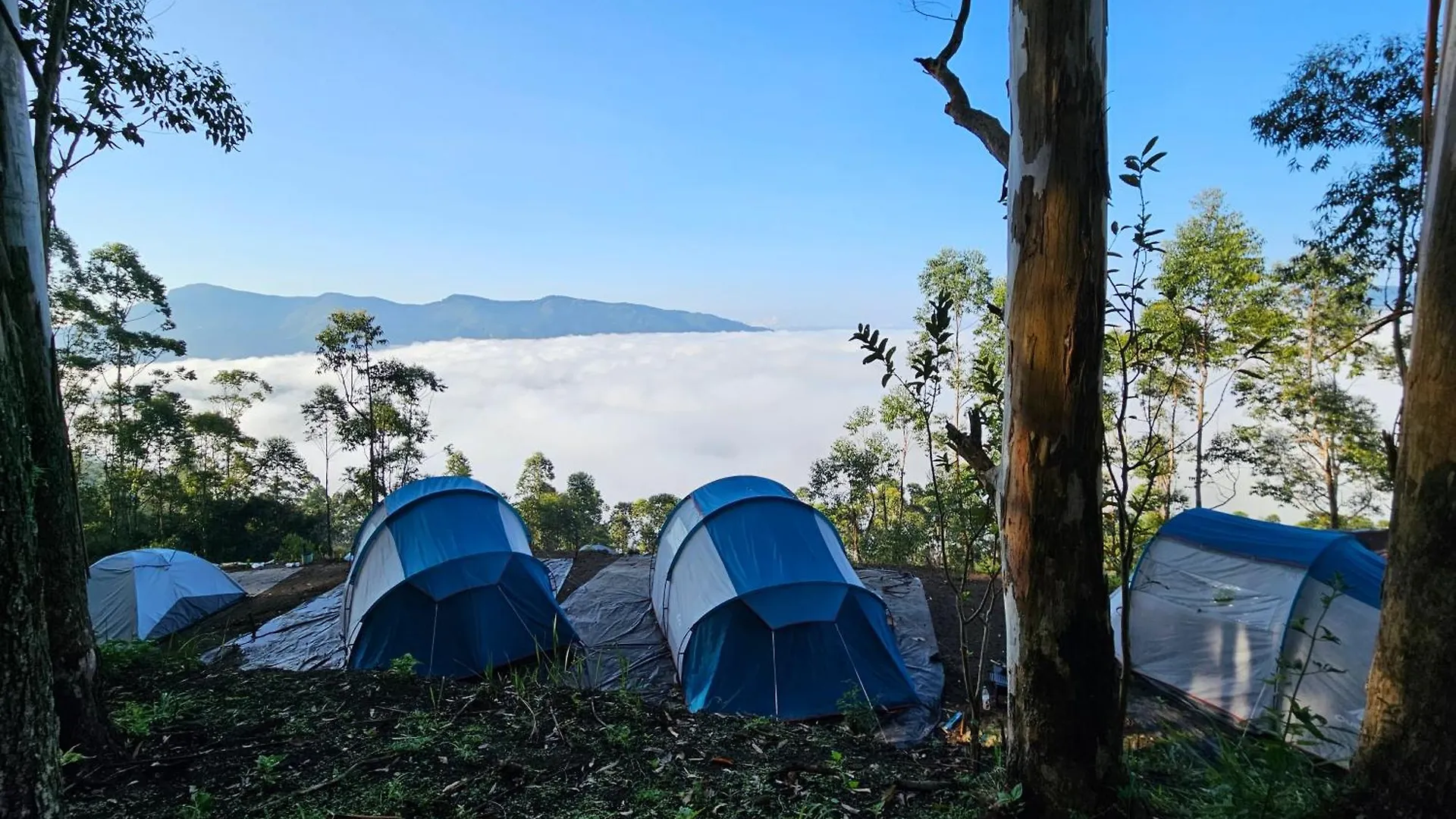 Cloud Camping. Hotel Munnar 0*,  India